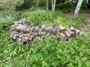 Ecology Garden Log Pile